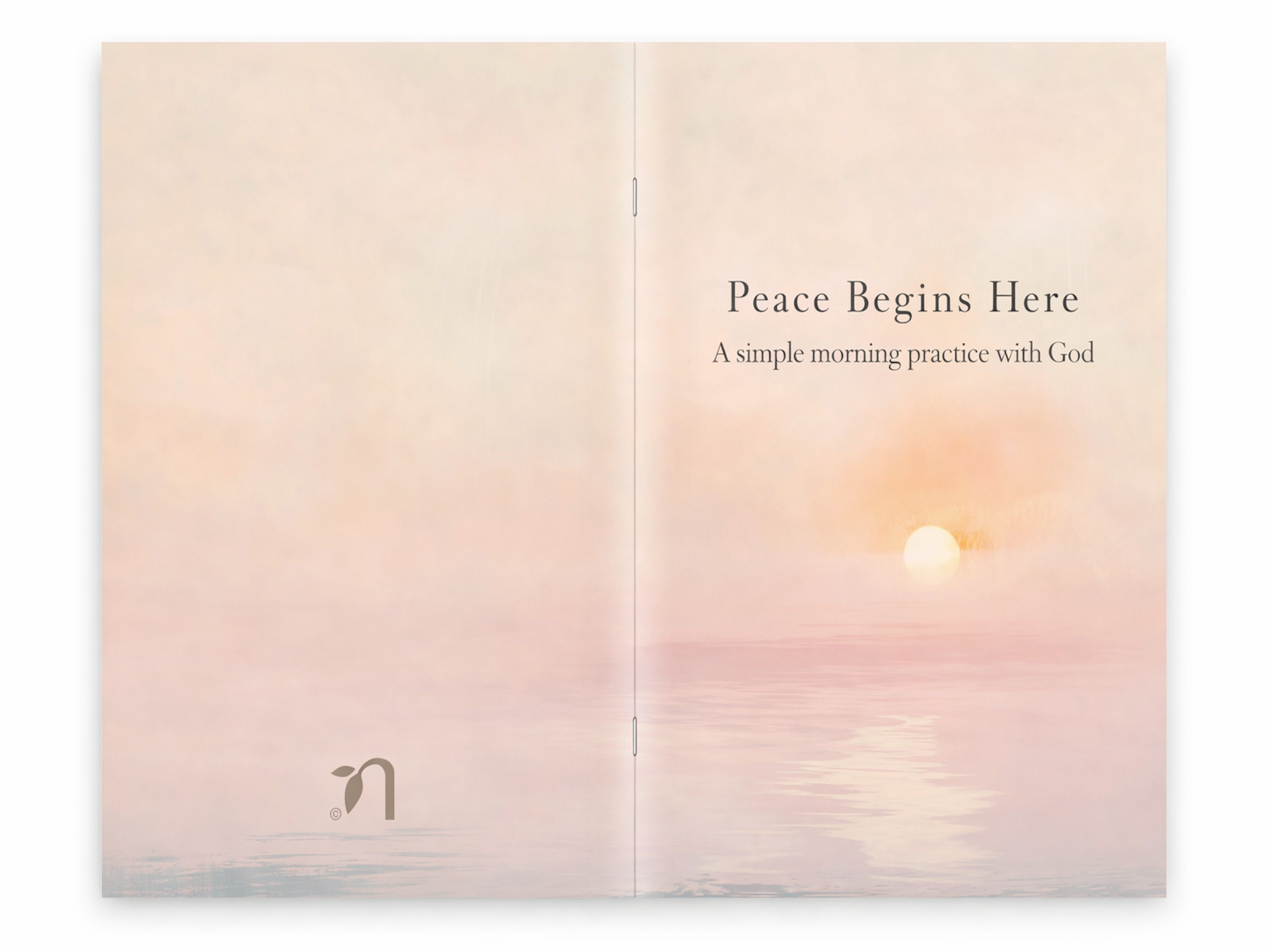 Peace Begins Here